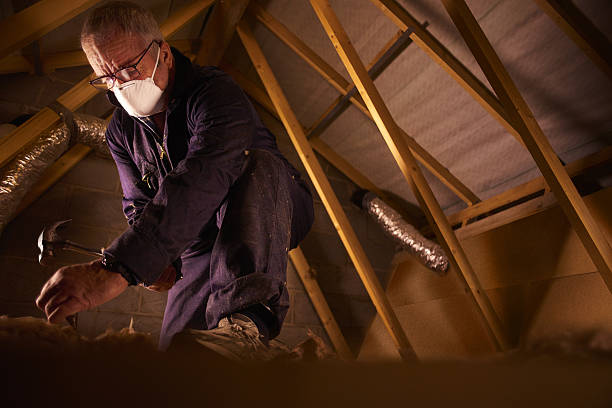Best Crawl Space Insulation  in Garrison, TX